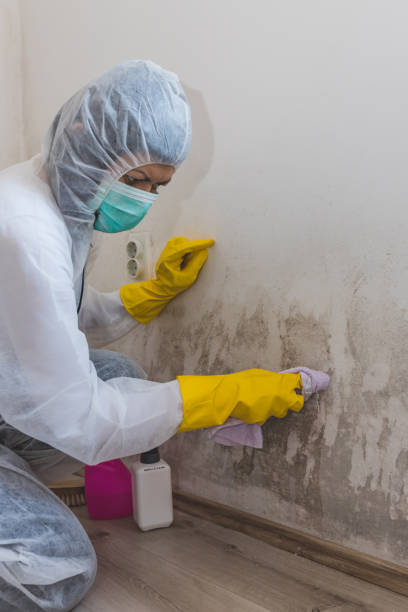 Best Mold Remediation for Healthcare Facilities  in Bennett, CO