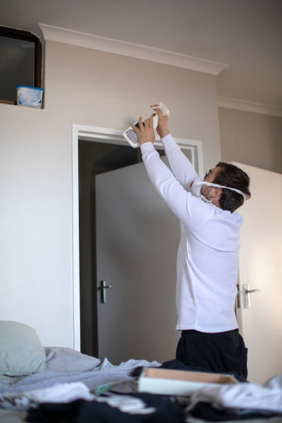 Best Black Mold Removal  in Bennett, CO